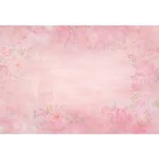 Pastel Pink Color Princess Baby Girl Photo Shoot Background Printed Flowers Newborn Photography Props Kids Portrait Backdrops Aliexpress