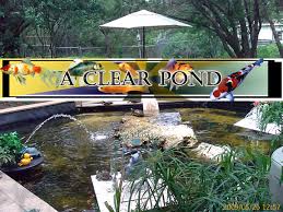 Pentair koi pond filters for 1500 gallon ponds. Pond Care Information Clear Garden Ponds Filtration Maintenance