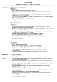 Finance Executive Resume Samples Velvet Jobs