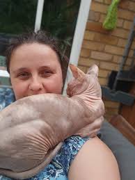 Sphynx Cat Lovers
