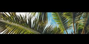 MARGARITATOWN: Jimmy Buffett and Other Coastal Classics