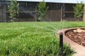 Most require an average of 1 to 1½ inches weekly, but specific watering needs vary by turfgrass type (cool. Grass That Doesn T Need Water Could Keep California Green