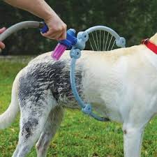 Your rating (1 star is bad, 5 stars is good) Woof Washer 360 Big Review Is It Effective Tested And Reviewed