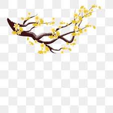 Apricot Flower Blossom Branch Banner Tree Peach Year New 2021 2022 2019 2020 Flower Spring Sakura Patte Mid Autumn Festival Apricot Blossom Flower Backgrounds