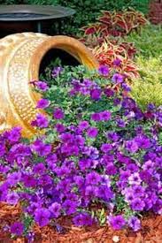 How To Make A Spilled Flower Pot Garden Idea Flower Pot Garden Plants Cottage Garden