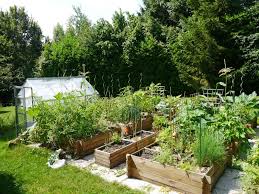 comment proteger votre potager de la chaleur