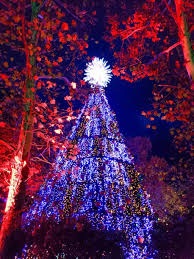 Pin By Abi Gibbons On All Of Abis Stuff Christmas Lights Wallpaper Silver Dollar City Christmas Magic