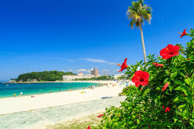 Great Beaches In Japan And Tips For Swimming In Summer Matcha Japan Travel Web Magazine