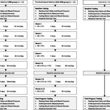 Prescribed And Actual Exercise Intensity For Hrr And Ace 3zm