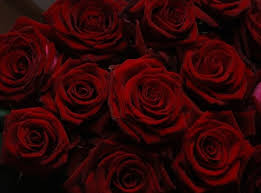 Attēlu rezultāti vaicājumam “dark red”
