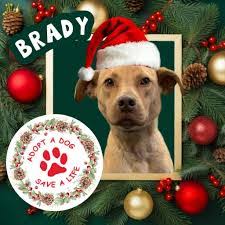 Kathy Kelch's Instagram, Twitter & Facebook