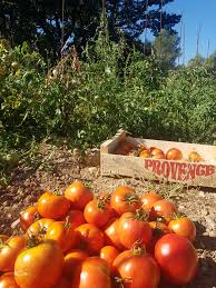 Vente De Produits Fermiers A Aix En Provence 13100 Produits Fermiers En Vente Directe Producteur