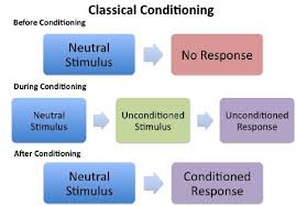 Learning Theories Tutorialspoint