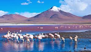 Police say at least four people have died after heavy rain and hail hit sucre. Getting To Bolivia
