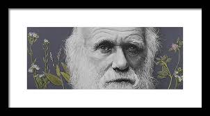 Sandwalk Wood- Charles Darwin. Framed Print
