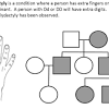 Documents similar to pedigree worksheet answer key. 1