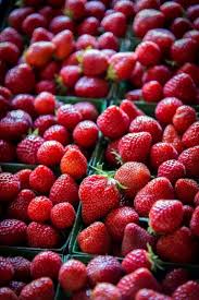Fruits Et Legumes A Nantes Cueillette De Fraises Nantes Citrouilles Celeri