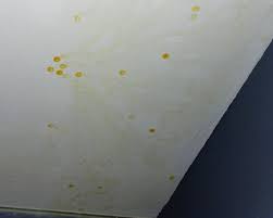 I have a daughter with asthma and i now know it's the the maintenance guys came in said they fixed the leak from upstairs, treated the wall/ceiling, painted over with kilz, and stated nothing further was needed. Oily Yellow Spots On Bathroom Ceiling Doityourself Com Community Forums