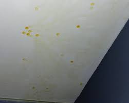 While mildew is a fungus, the health consequences are not as severe. Oily Yellow Spots On Bathroom Ceiling Doityourself Com Community Forums
