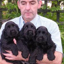 Why are anonymous posts allowed