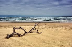 Beach hd images for editing. Download Latest Hd Wallpapers Of Nature Beach Wallpapers