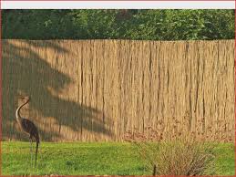 Garten Planen 26 Tolle Balkon Sichtschutz Schilf O38p