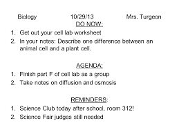 Plant and animal cell worksheets. Biology 10 29 13 Mrs Turgeon Do Now 1 Get Out Your Cell Lab Worksheet 2 In Your Notes Describe One Difference Between An Animal Cell And A Plant Cell Ppt Download