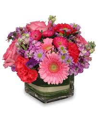 Tripadvisor has 1,934 reviews of dobbs ferry hotels, attractions, and restaurants making it your best dobbs ferry holiday resource. Westbury Florist Westbury Ny Flower Shop Flowers By Carole