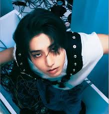 Profilo di Han (Stray Kids)