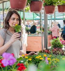 Fruit plants to grow on terrace in pot. A Beginner S Guide To Creating A Kitchen Garden Tweak India