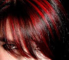 Pin By Christine Chavez On Fashion Hair Hair Color For Black Hair Black Red Hair Black Hair With Red Highlights