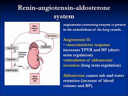 Results from the teamsta severe htn study. Blood Vessels Pathology Subject 14 Prezentaciya Onlajn