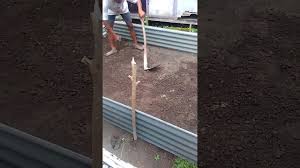 Inovasi Kolam Terpal Untuk Pembibitan Ikan Lele Kolam Terpal Pagar Asbes Part1 Youtube