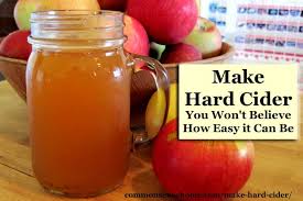 The dictionary is a nice addition but i don't really use it much for this function. How To Make Hard Cider You Won T Believe How Easy It Can Be