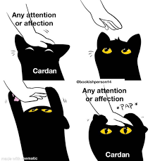 Follow On Insta Bookishperson14 In 2020 Memes Anime Memes Funny Memes