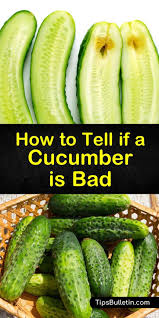 Check spelling or type a new query. How To Tell If A Cucumber Is Bad