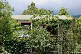 The nearest airport is sultan abdul aziz shah airport, 24 mi from the accommodations. Happi Village Janda Baik Sustainable Stay Organic Farm The Yum List