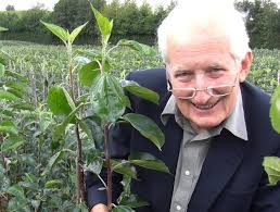 Gardeners' World Live new plant awards entries revealed