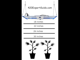 For lighting i have a 60w 450nm/6.5k white led (3w x 20) on a pully. How High To Hang Grow Lights Above Plants Based On Science