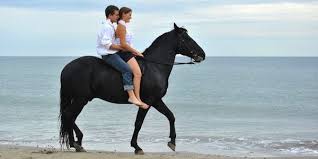 Beach Rides Close To The Top Of My Wish List Horseback Riding Horses Beach Rides