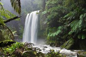 This period provided a favourable environment for the spread of communism. Natural Environment Wikipedia