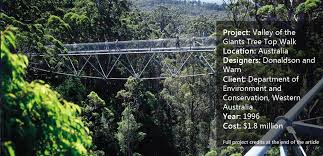 Avail illawarra tree top walk ticket & walk 30 meters above the earth on the 500 meters long treetop walk. Do You Dare To Venture On The Valley Of The Giants Tree Top Walk