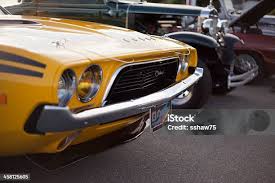 Image result for Yellow 1979 Challenger