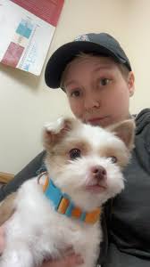 Hi all, We lost our Dougie this evening. We have a lot of medicine here.  Vetmedin, Furosoral, Cardalis, kaminox. We also have a tonne of Royal canin  heart kibble. If anyone is