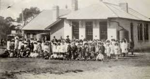 Brookvale Public School Brookvale Nsw History Teachers Public School Old Photos
