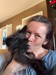 Female Yorkie found wandering in the rain, foster needed