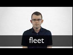 نتیجه جستجوی لغت [fleet] در گوگل