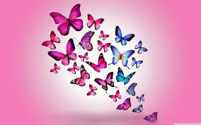Free Download Butterflies 4k Hd Desktop Wallpaper For 4k Ultra Hd Tv Wide 2880x1800 For Your Desktop Mobile Tablet Explore 32 Wallpaper Hd Butterfly Hd Butterfly Wallpaper Butterfly Hd Browse and download hd butterfly png images with transparent background for free. butterflies 4k hd desktop wallpaper
