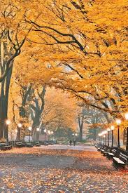 Pin On Fall