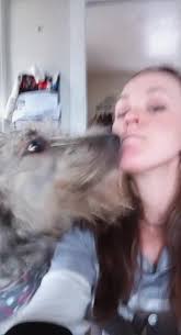 Capturing Memories with Irish Wolfhounds